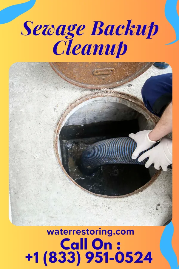 Sewage Backup Cleanup in Poteet, TX